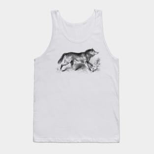 Wolf Vintage Wildlife Illustration Tank Top